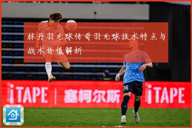 林丹羽毛球传奇羽毛球技术特点与战术价值解析