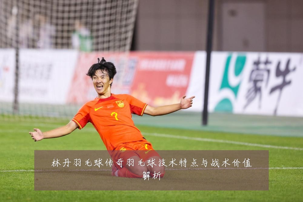 林丹羽毛球传奇羽毛球技术特点与战术价值解析